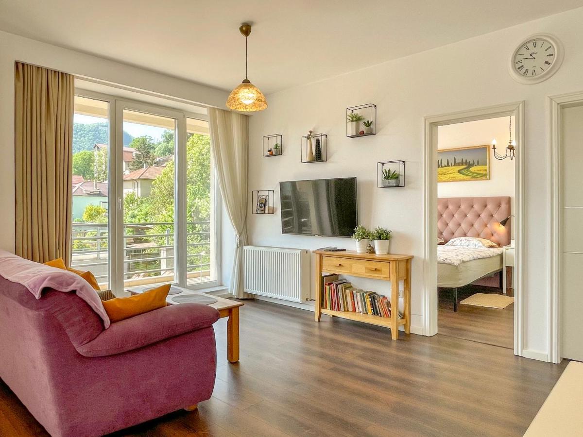 Central Premium Apartment Braşov Exterior foto